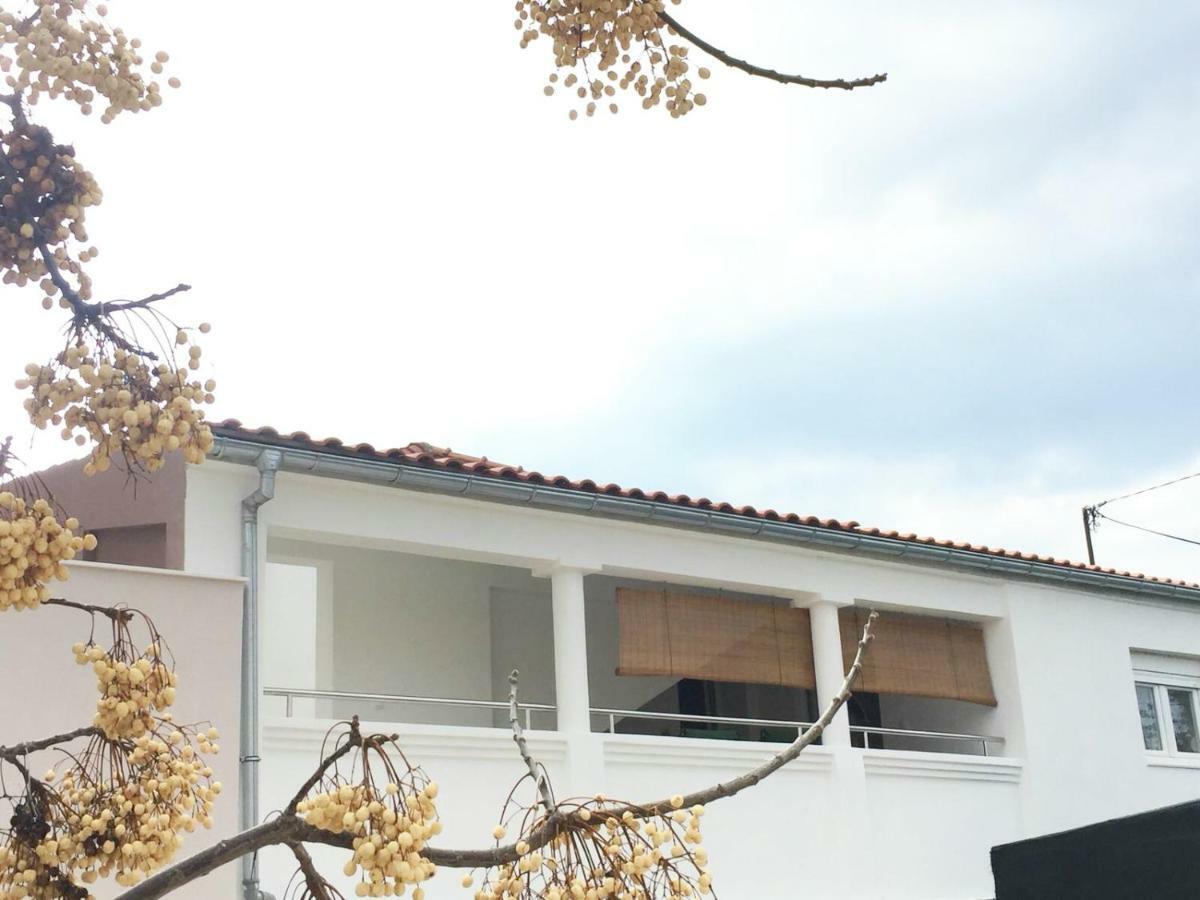 Apartman Luce Apartment Bibinje Bagian luar foto
